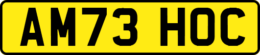 AM73HOC