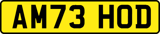 AM73HOD