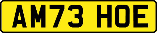 AM73HOE