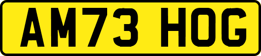 AM73HOG