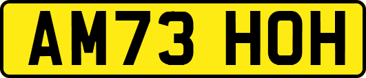 AM73HOH