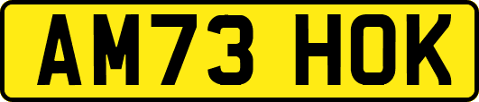 AM73HOK