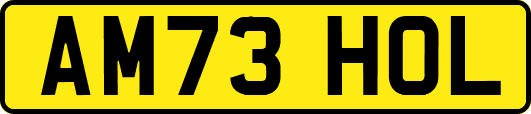 AM73HOL