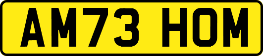 AM73HOM