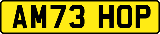 AM73HOP