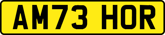 AM73HOR