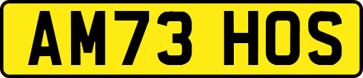 AM73HOS