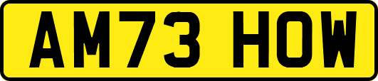 AM73HOW