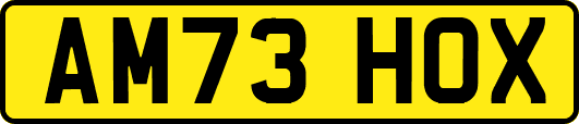 AM73HOX