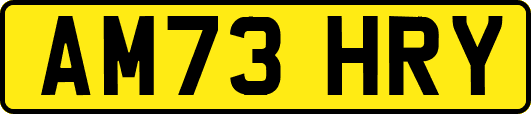 AM73HRY