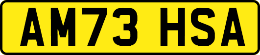 AM73HSA