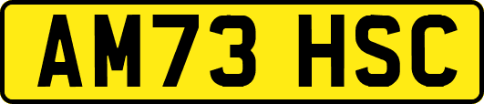 AM73HSC