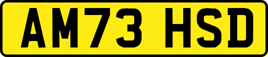 AM73HSD