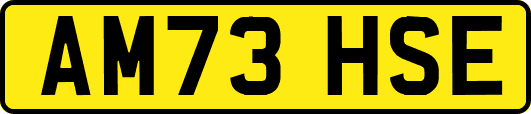 AM73HSE