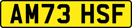 AM73HSF