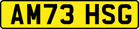AM73HSG