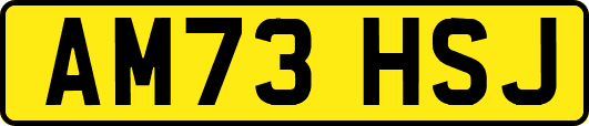 AM73HSJ