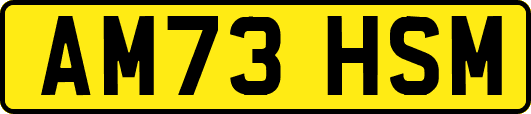 AM73HSM