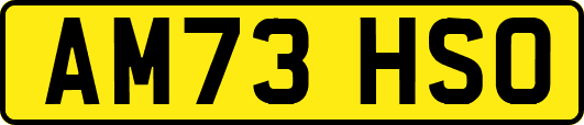 AM73HSO