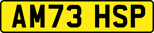 AM73HSP