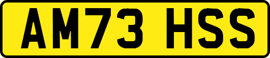 AM73HSS