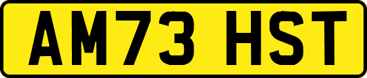 AM73HST