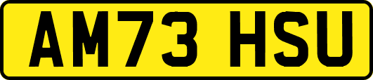 AM73HSU