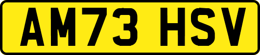 AM73HSV