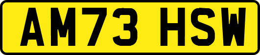 AM73HSW