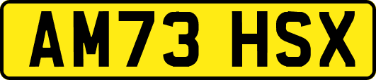 AM73HSX