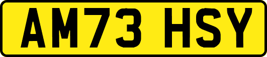 AM73HSY