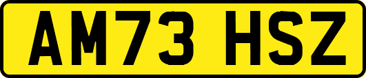AM73HSZ
