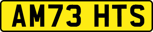 AM73HTS