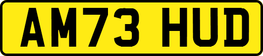 AM73HUD