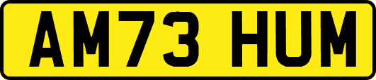 AM73HUM