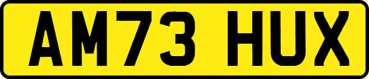 AM73HUX