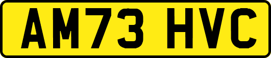 AM73HVC