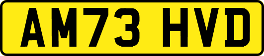 AM73HVD