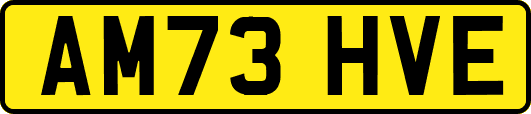 AM73HVE