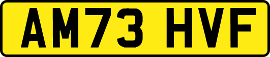 AM73HVF