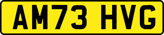 AM73HVG
