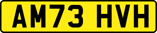 AM73HVH