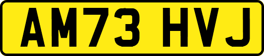 AM73HVJ