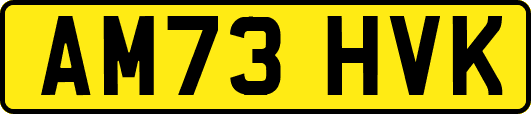 AM73HVK