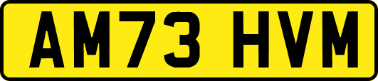 AM73HVM