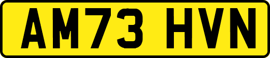 AM73HVN