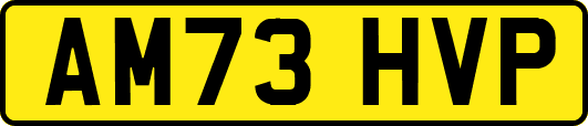 AM73HVP