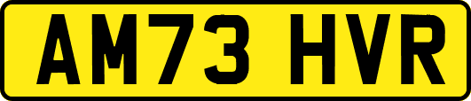 AM73HVR