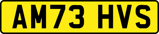 AM73HVS