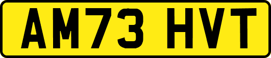 AM73HVT